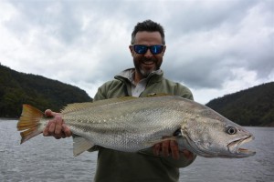 Lure casting and live baiting are both effective techniques to master to catch quality jewfish like this.