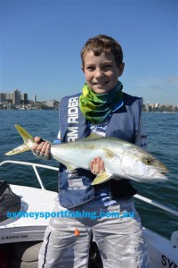 Brady's first sydney Kingfish at age 11!!
