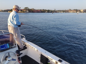 sydney fly fishing adventures