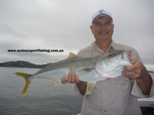 Yellow Tail Kingfish fight hard, look good and taste great!!