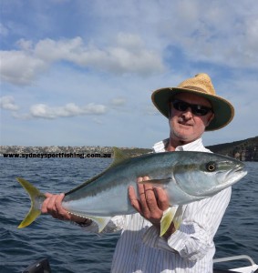 fishing charter kingfish