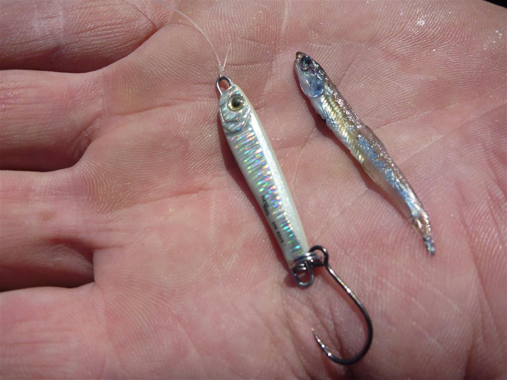 A selection of metal slices to “match the Hatch” are a vital tool in the winter tackle box.