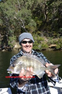 There are many ways to target bream but none more effective than soft plastics for big blue nose bruisers like this one.