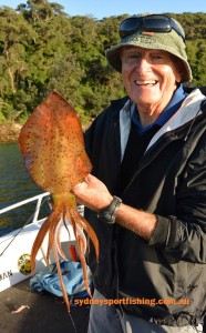 Sydney is a great squid fishery, hardest part is deciding to use it for bait or eat it!?