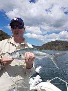 Paul's 50cm Australian Salmon
