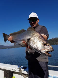 The Mulloway season is about to start, get in early to secure the better tides/dates.