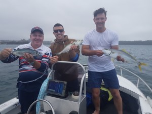 Bonito, Tailor and kingfish on lures and light tackle, three way hook up!