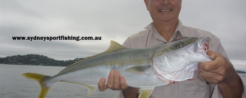 Sydney Kingfish Charters
